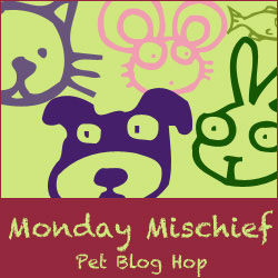 Snoopy's Dog Blog